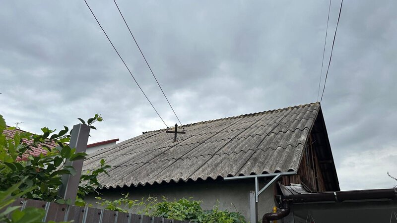 Colentina, Andronache, Pepiniera